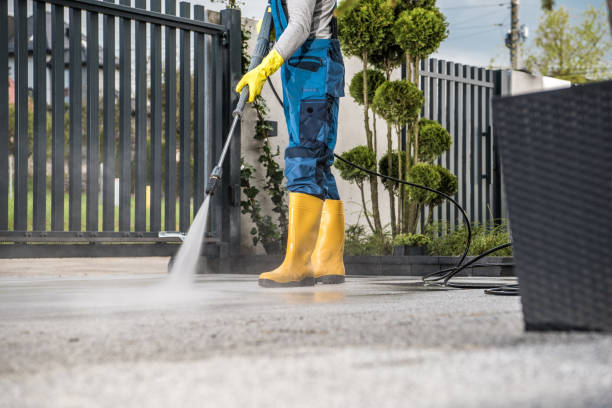 Animal Enclosure Cleaning in West University Place, TX